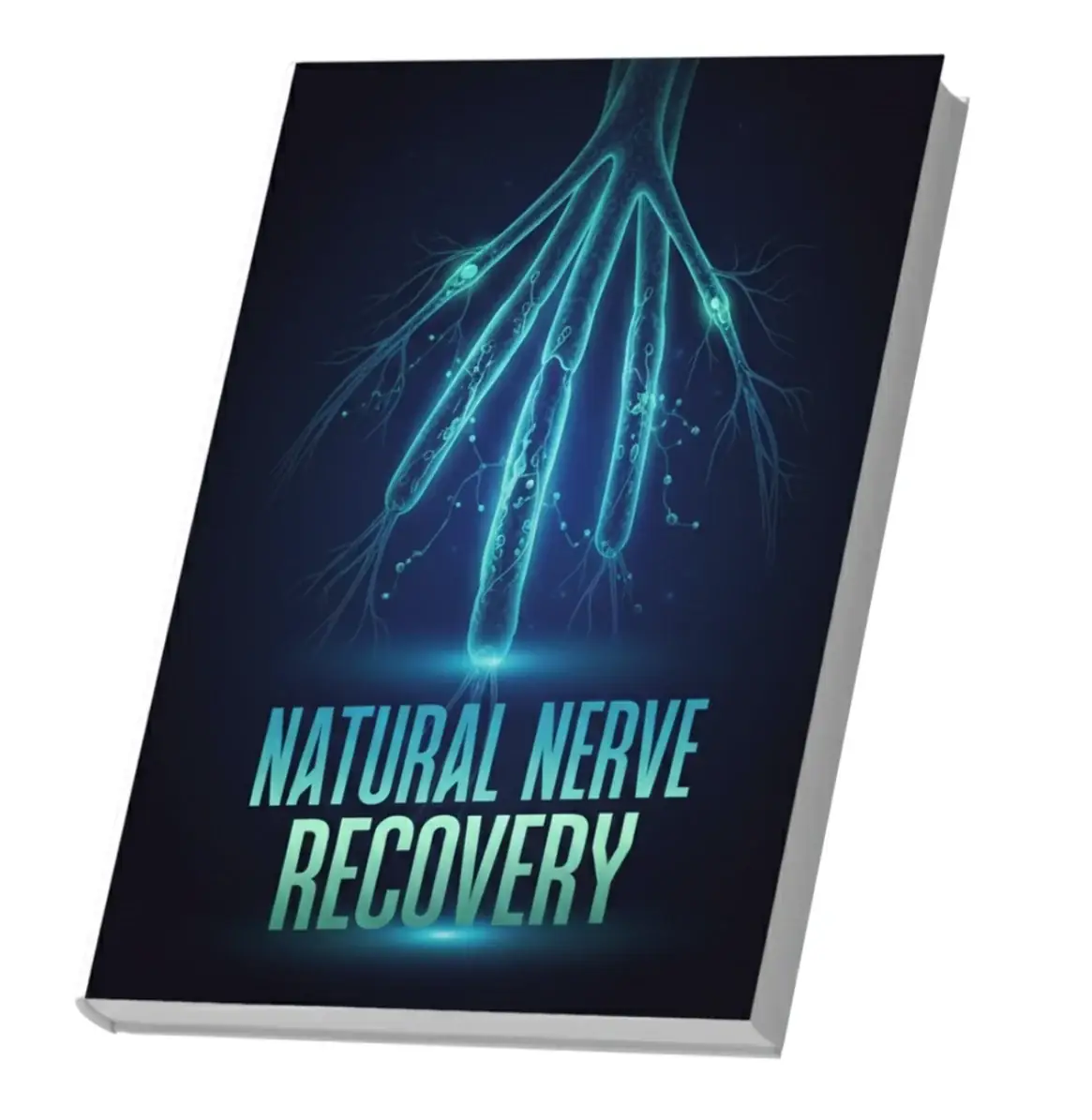 Natural Nerve Recovery digital bonus